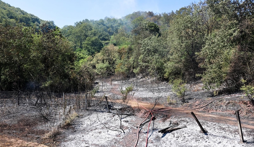 3 ilçede ki orman yangınları kontrol altına alındı