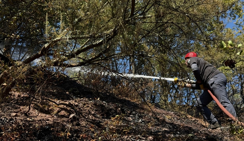3 ilçede ki orman yangınları kontrol altına alındı
