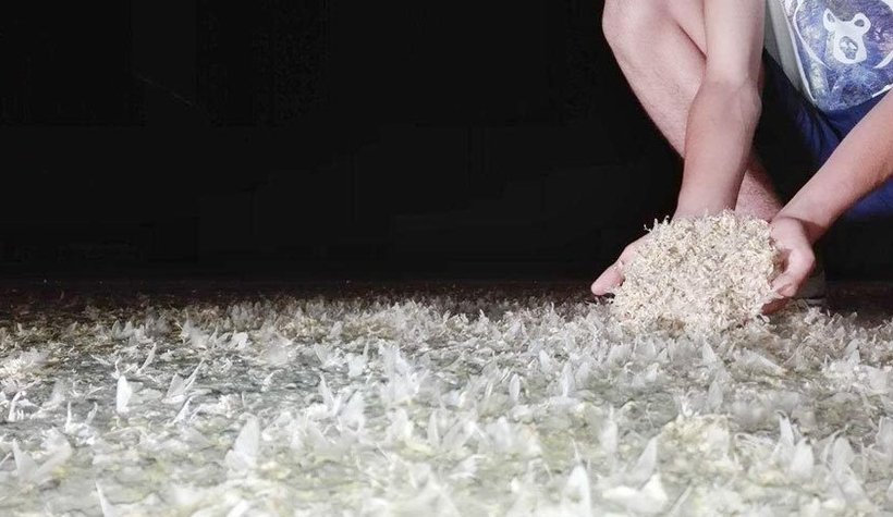 3 yıldır ortada yoklar, merak konusu oldu