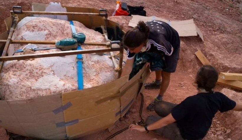 30 adet dinozor yumurtası bulundu