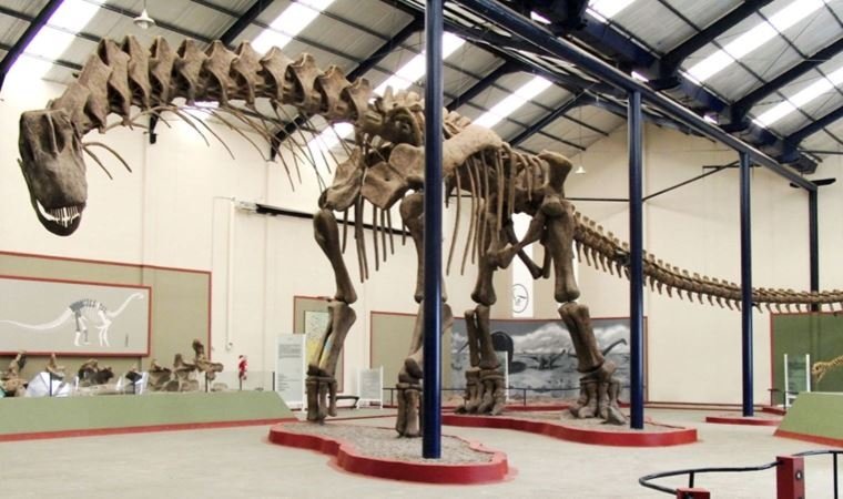 30 adet dinozor yumurtası bulundu