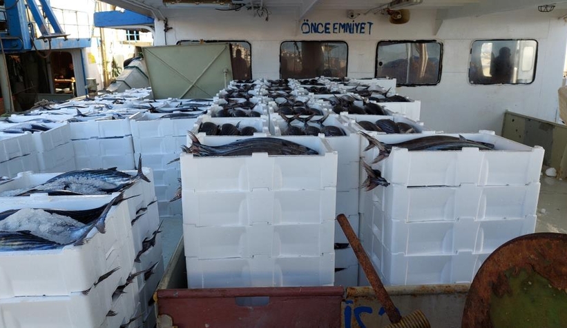 30-ton-torik-avladilarv0hil1lzng