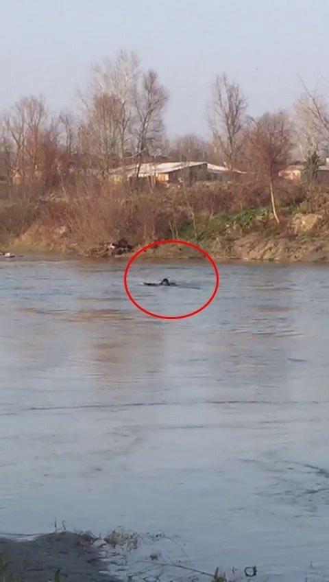 Peşindeki kişilerden kaçmak için Sakarya Nehri’ne atladı kayboldu