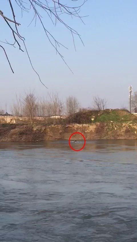 Peşindeki kişilerden kaçmak için Sakarya Nehri’ne atladı kayboldu