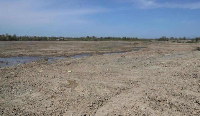 350 dekarlık arazide kenevir üretilecek