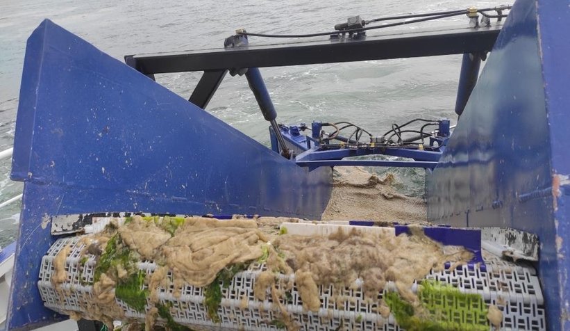 38 günde 100 ton deniz salyası toplandı