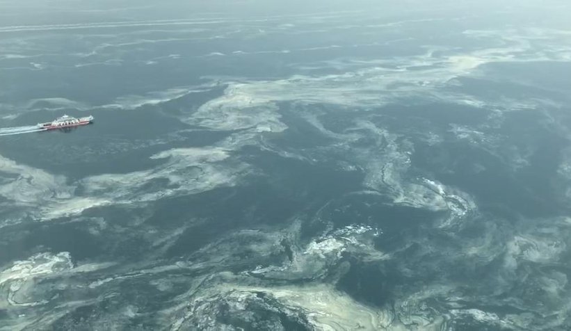 38 günde 100 ton deniz salyası toplandı