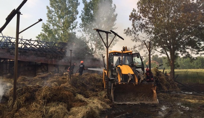 4 büyükbaş telef oldu, yüzlerce saman yandı