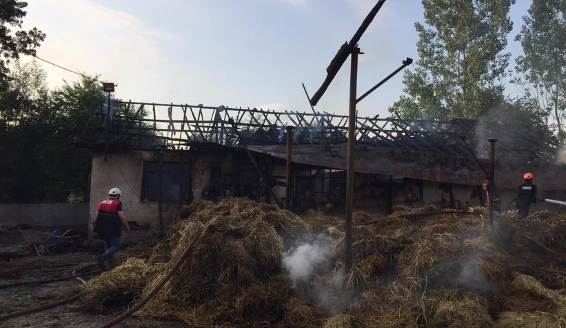 4 büyükbaş telef oldu, yüzlerce saman yandı