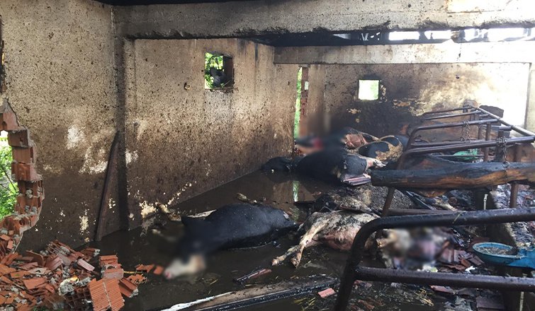 4 büyükbaş telef oldu, yüzlerce saman yandı