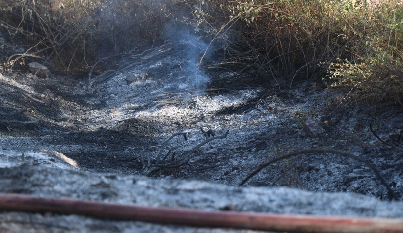 4 dönümlük orman çıkan yangında zarar gördü