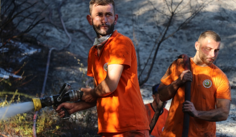 4 dönümlük orman çıkan yangında zarar gördü