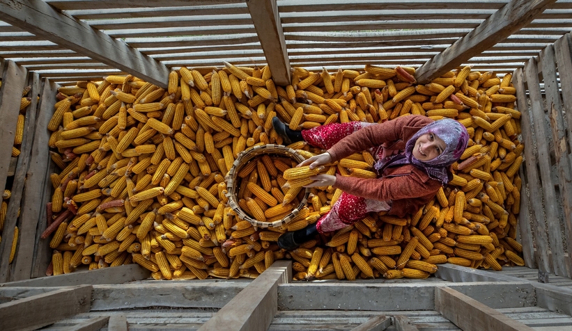 4 Mevsim Akyazı’da Yaşam fotoğraf yarışması tamamlandı