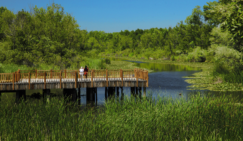 4 yılda 14 milyon yolcuyu misafir ziyaret etti