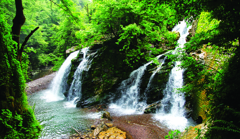 4 yılda 14 milyon yolcuyu misafir ziyaret etti