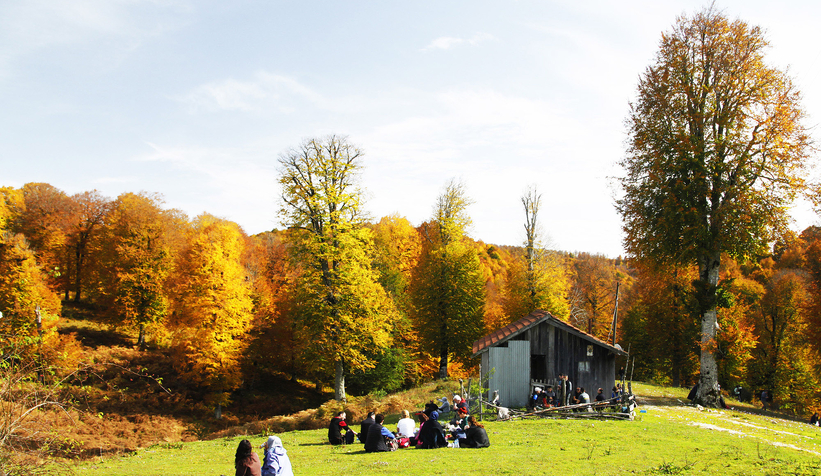 4 yılda 14 milyon yolcuyu misafir ziyaret etti