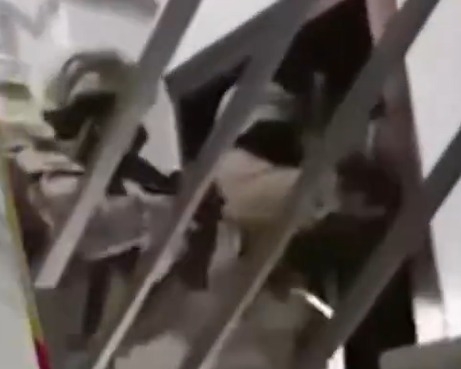 41 ilde çocuk müstehcenliği operasyonu