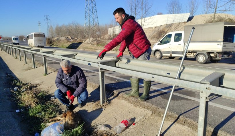 5 gündür aç ve susuz kalan köpek kurtarıldı