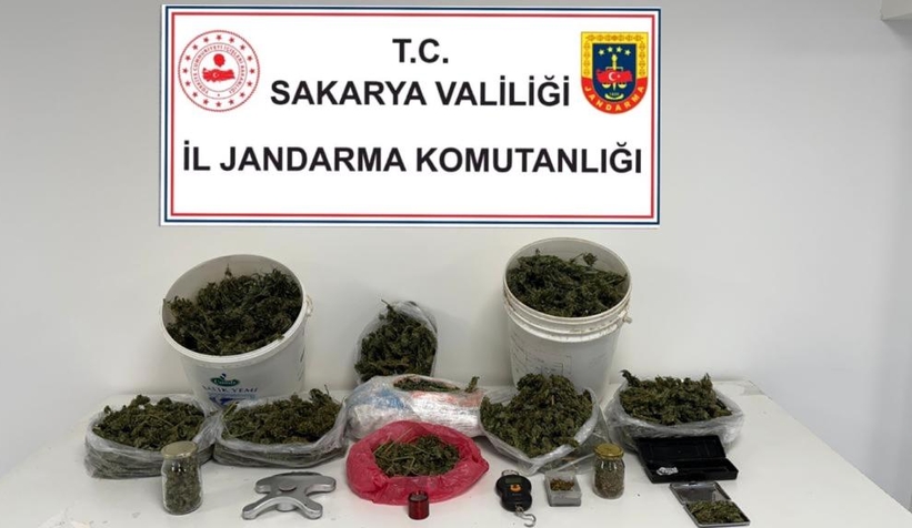 5 ilçede zehir operasyonu