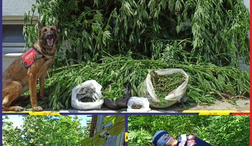 5-kilo-400-gram-esrar-ele-gecirildivwtqzkftoe