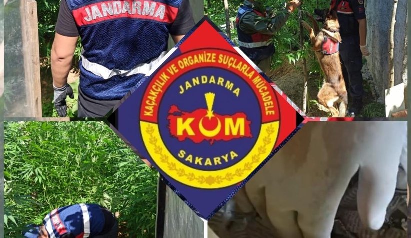 5-kilo-400-gram-esrar-ele-gecirildivwtqzkftoe