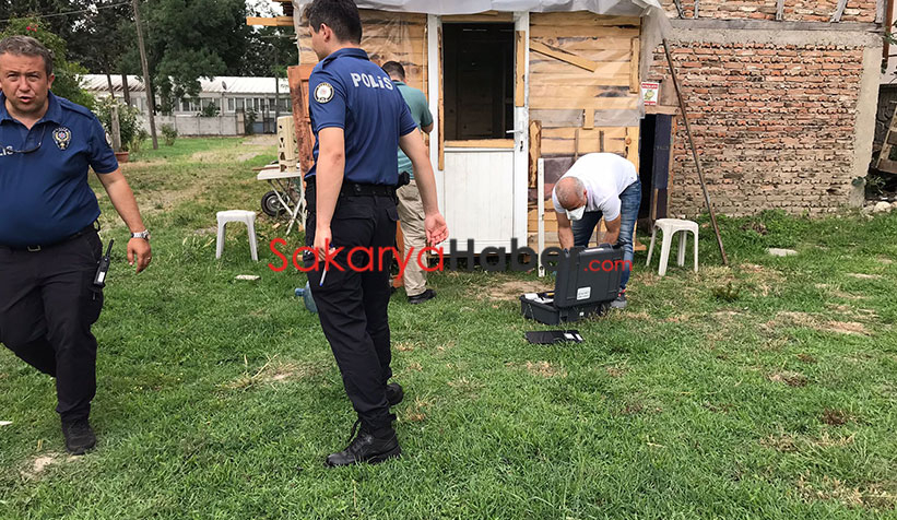 50 bin liralık taklacı güvercinler çalındı