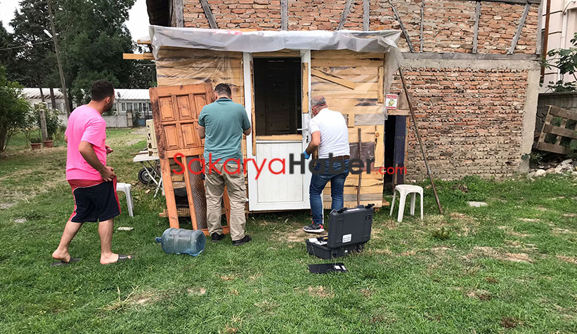 50 bin liralık taklacı güvercinler çalındı