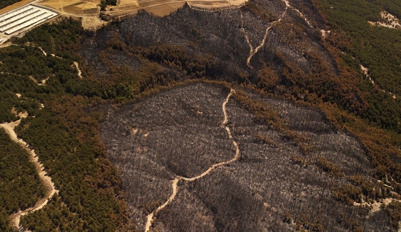 66 hektar orman yandı