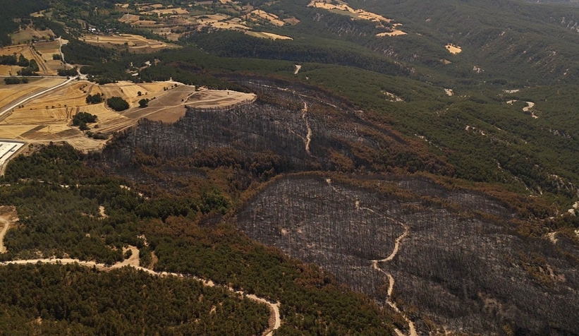 66 hektar orman yandı