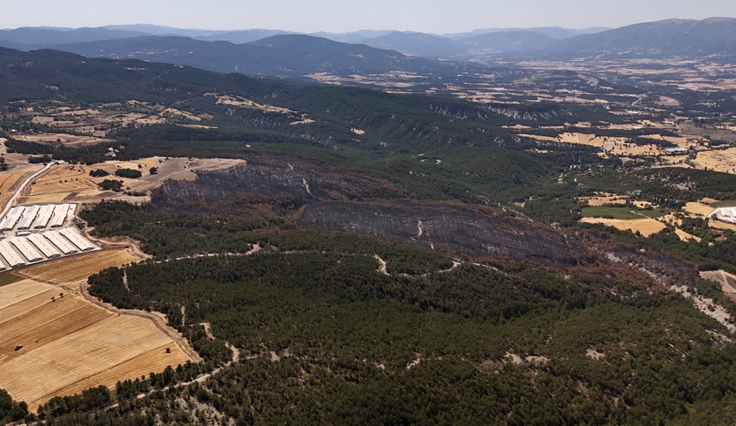 66 hektar orman yandı