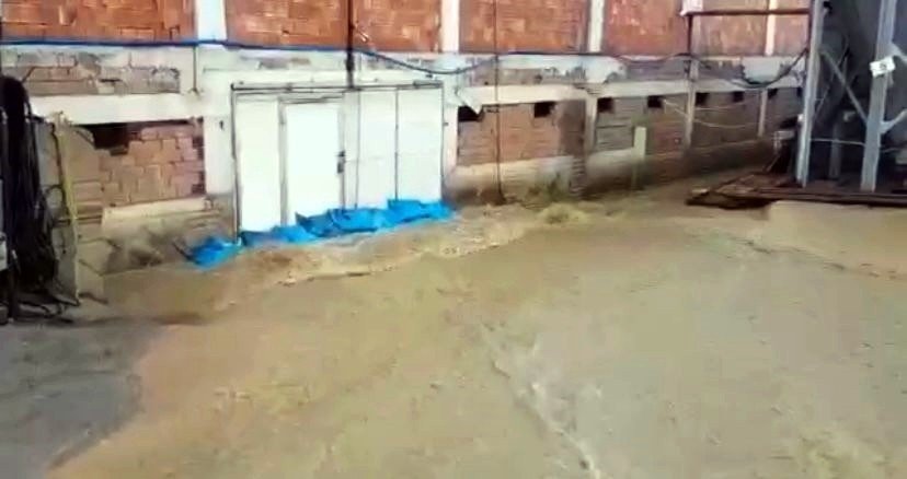 70 bin civcivin bulunduğu çiftliği su bastı