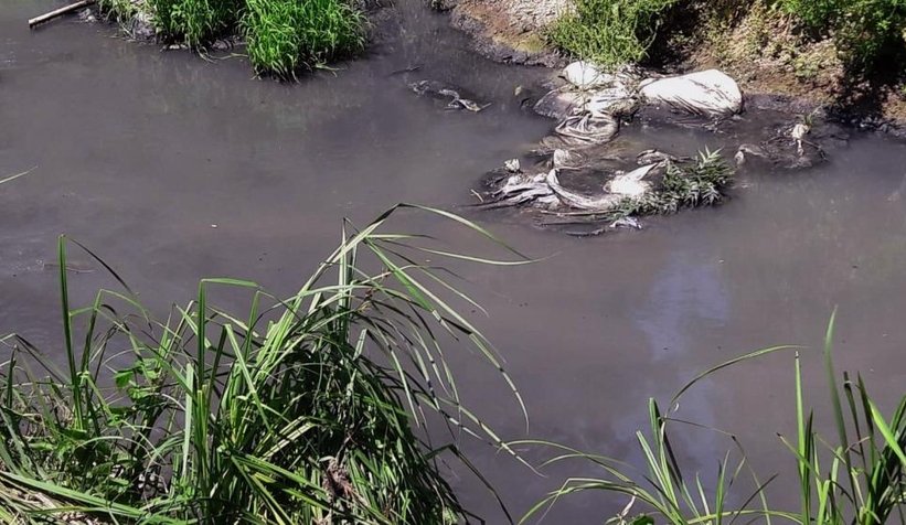 8 mahalleden geçen deredeki kirlilik alarm veriyor
