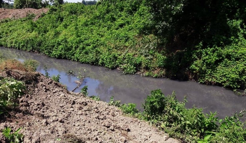 8 mahalleden geçen deredeki kirlilik alarm veriyor