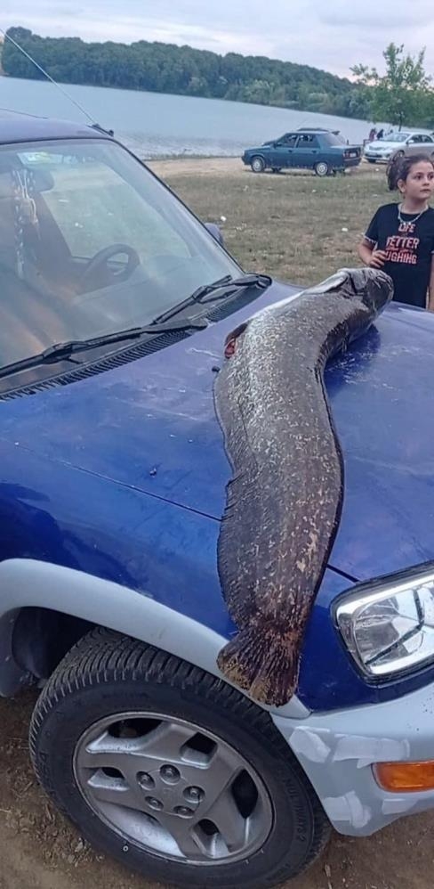 8 yaşındaki çocuk dev yayın balığı yakaladı