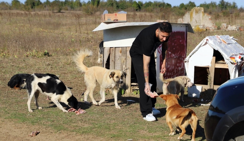 80 köpeği boş araziye bıraktılar