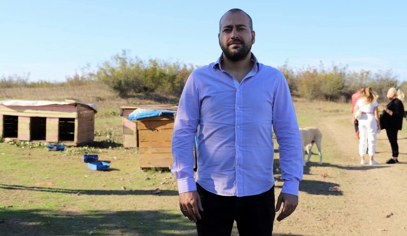 80 köpeği boş araziye bıraktılar