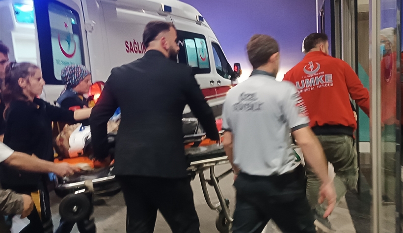 80 köpeği boş araziye bıraktılar