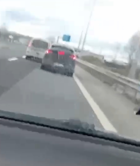 9 Suriyeli kaçak göçmen yakalandı