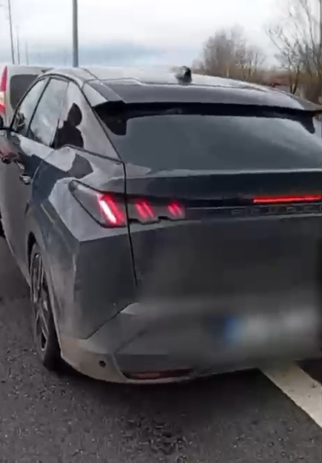 9 Suriyeli kaçak göçmen yakalandı