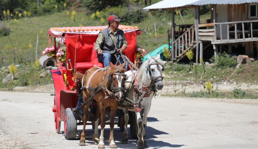 abant-tabiat-parkinda-fayton-donemi-sona-erdiv21btkuxy3