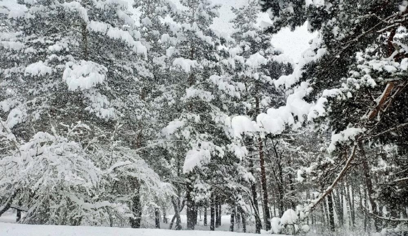 abantta-kar-kalinligi-50-santimi-gectik20yt2jvm1