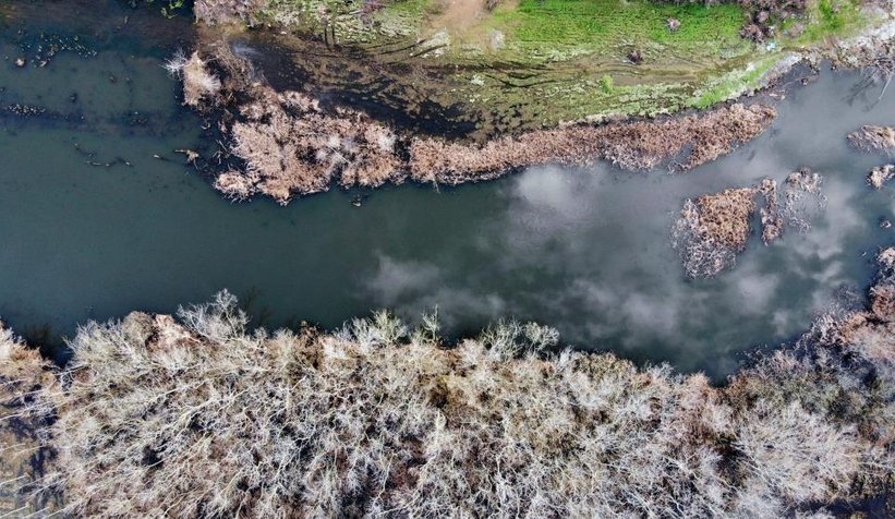 Acalar Longozu havadan görüntülendi