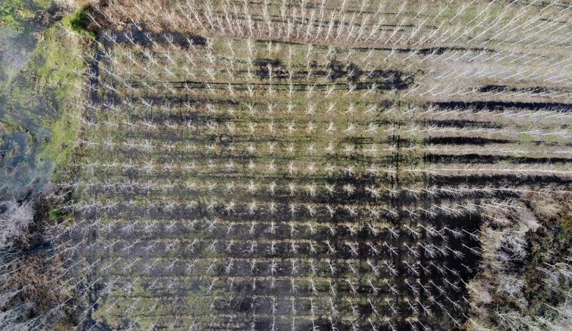 Acalar Longozu havadan görüntülendi