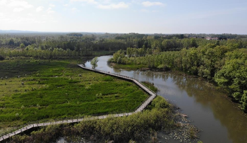 Acarlar Longozu hayran bırakıyor