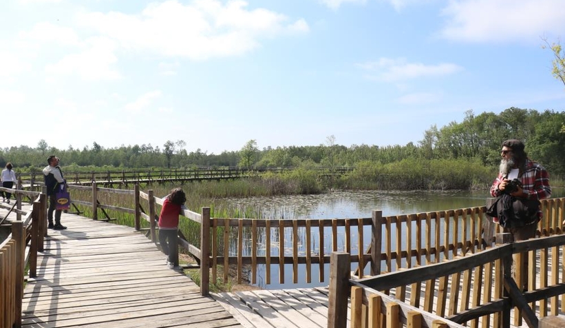 Acarlar Longozu hayran bırakıyor