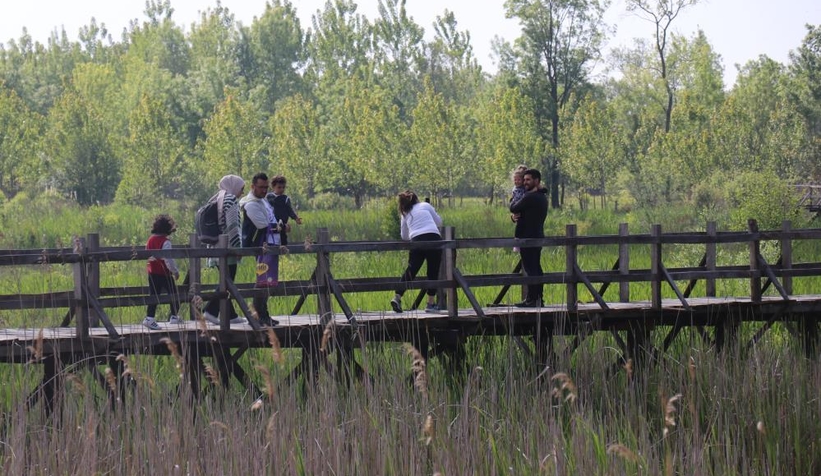 Acarlar Longozu hayran bırakıyor