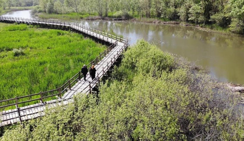 Acarlar Longozu hayran bırakıyor