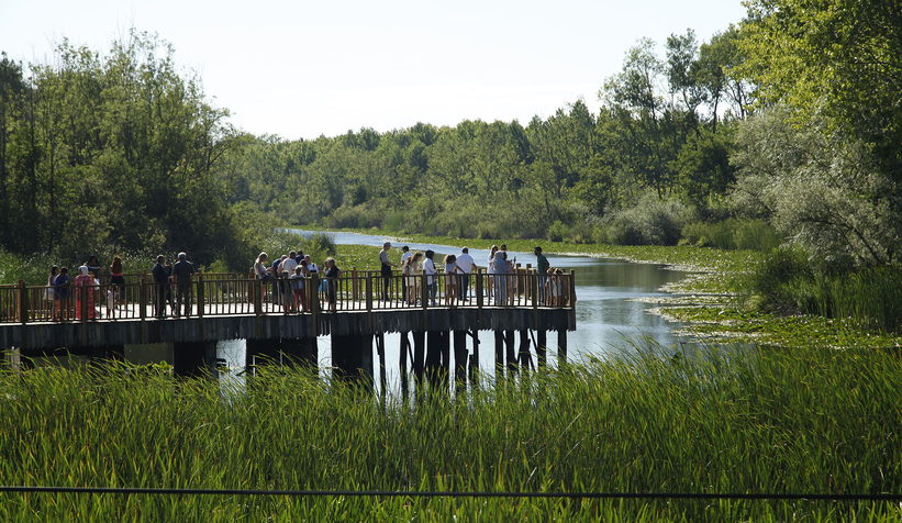 acarlar-longozu-yaz-sezonunda-turizmin-gozdesi-olduzu85zwjjk2