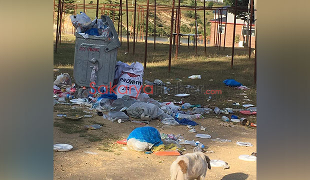 Acelle Yaylası'nda tepki çeken görüntü