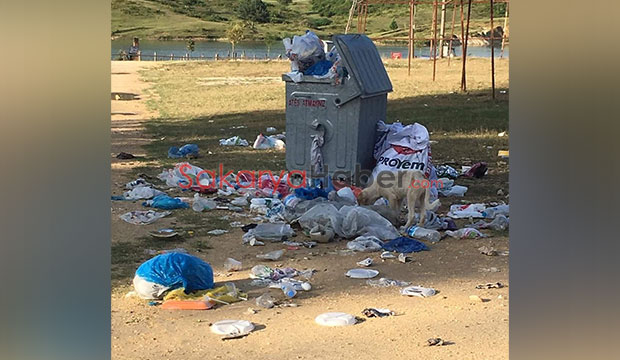 Acelle Yaylası'nda tepki çeken görüntü